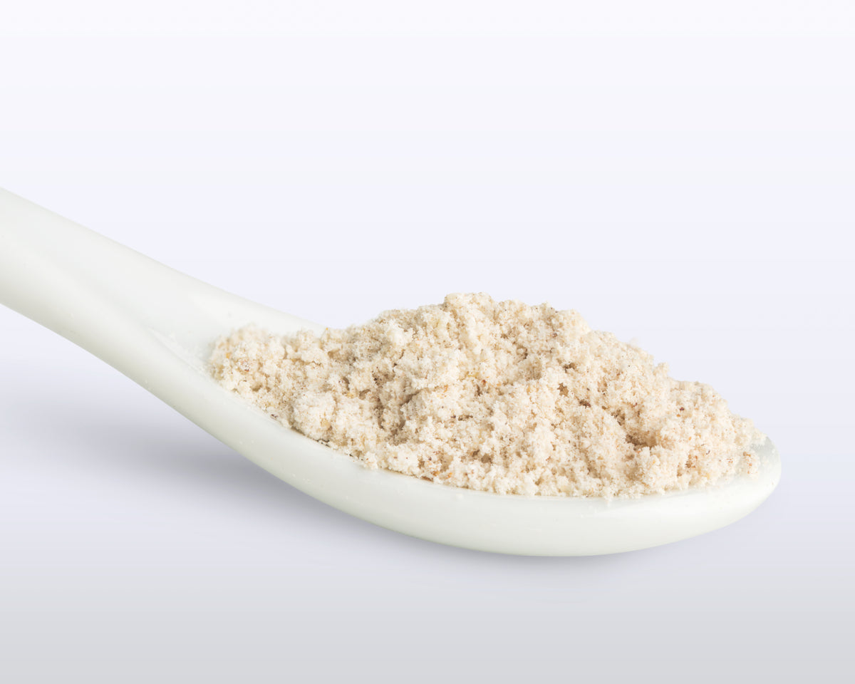 Poudre de noix de pin de Sibérie - 454g | Farine de noix de pin biologique de l'Altaï