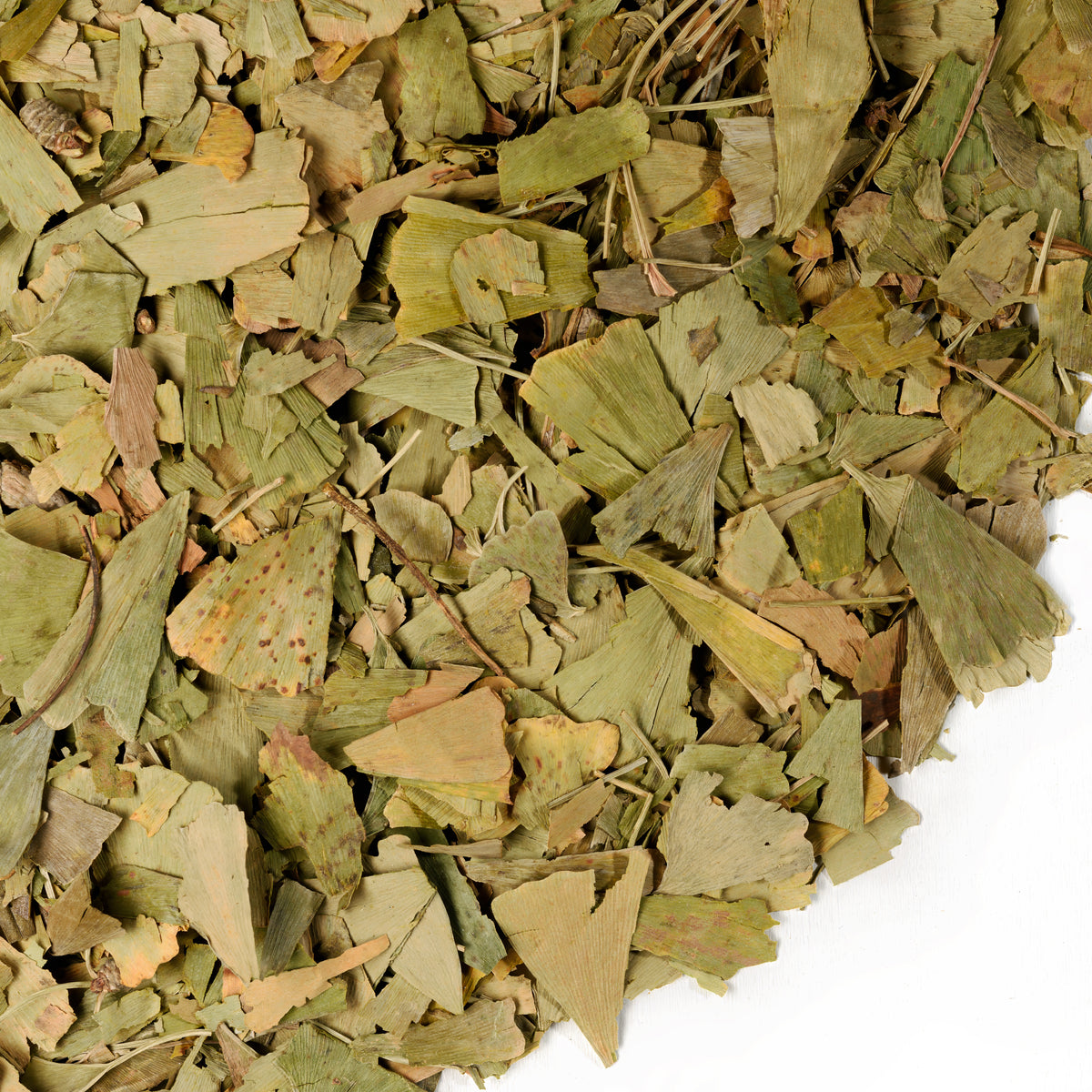 Ginkgo Biloba et feuilles d'argousier 