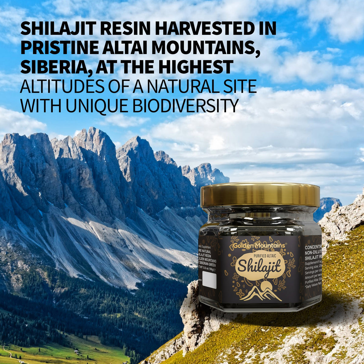 Résine de Shilajit des Montagnes d'Or - Puissance pure de l'Altaï sibérien